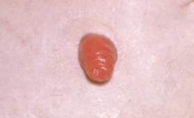 Screen Shot 2018-06-15 at 20.32.29.png